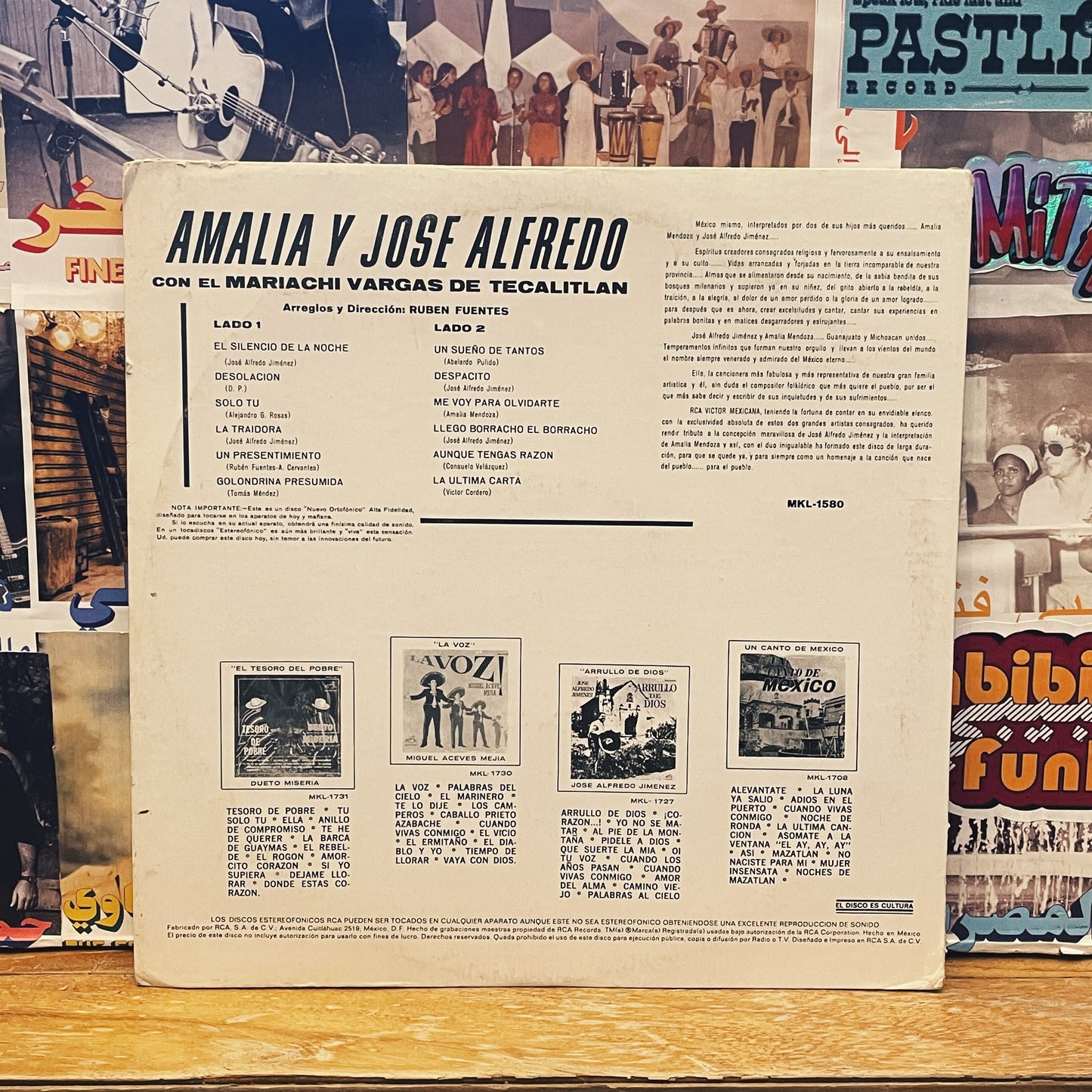 Amalia Y Jose Alfredo – Cantando A Duo