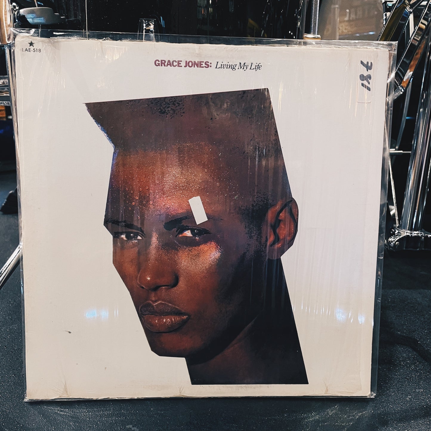 Grace Jones – Living My Life = Viviendo Mi Vida