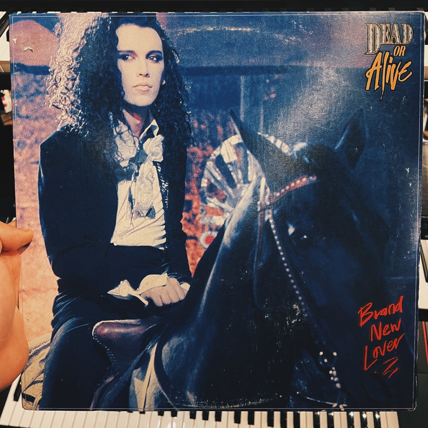 Dead Or Alive – Brand New Lover