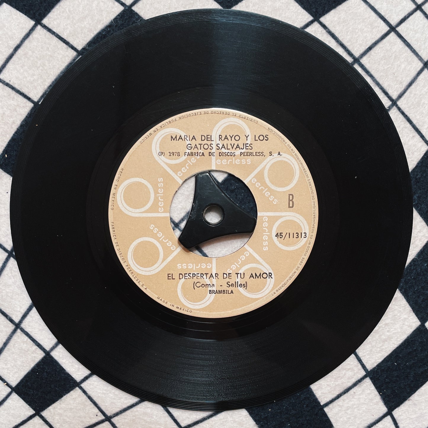 7¨| Maria Del Rayo Y Los Gatos Salvajes – Te Regalo Mis Ojos