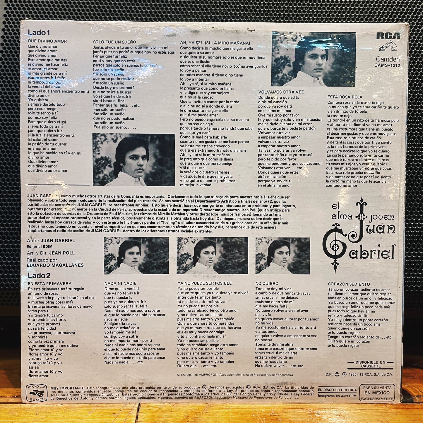 Juan Gabriel – El Alma Joven