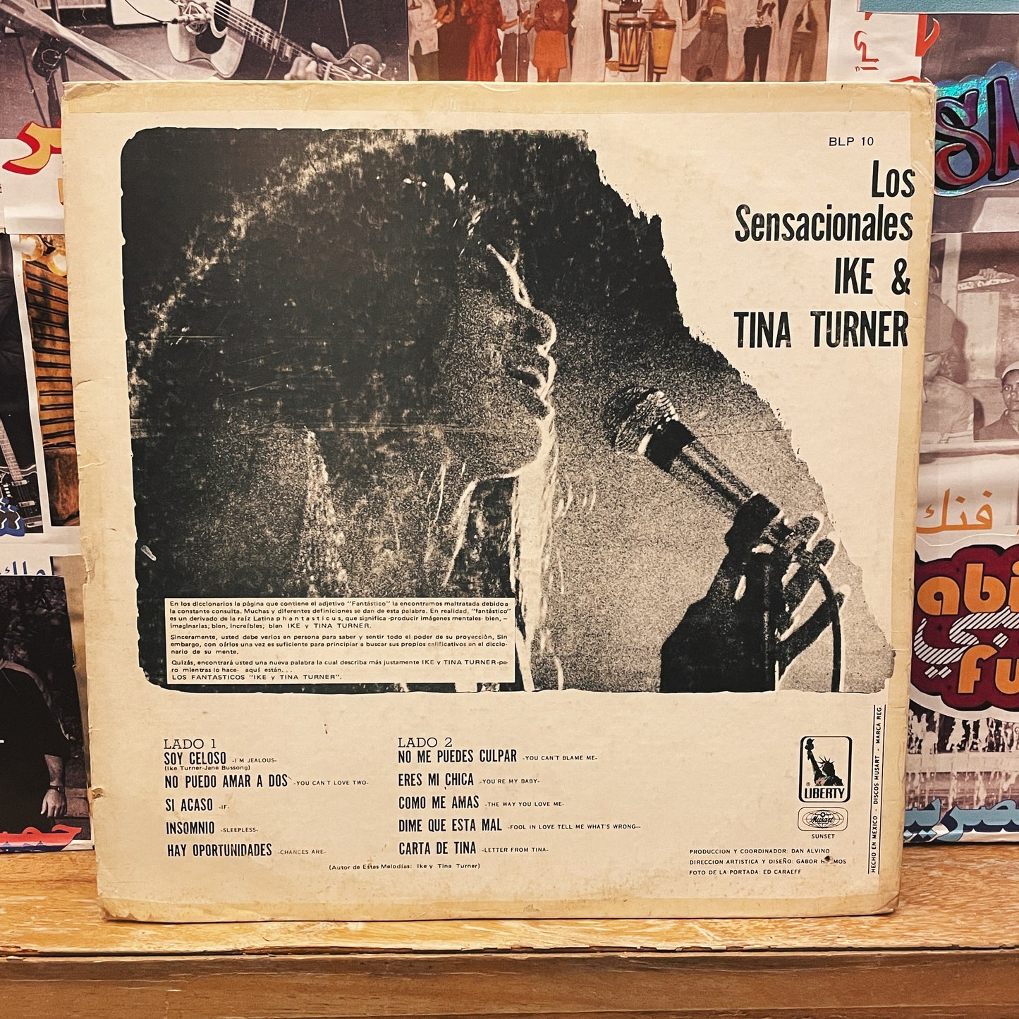 Ike & Tina Turner – The Fantastic