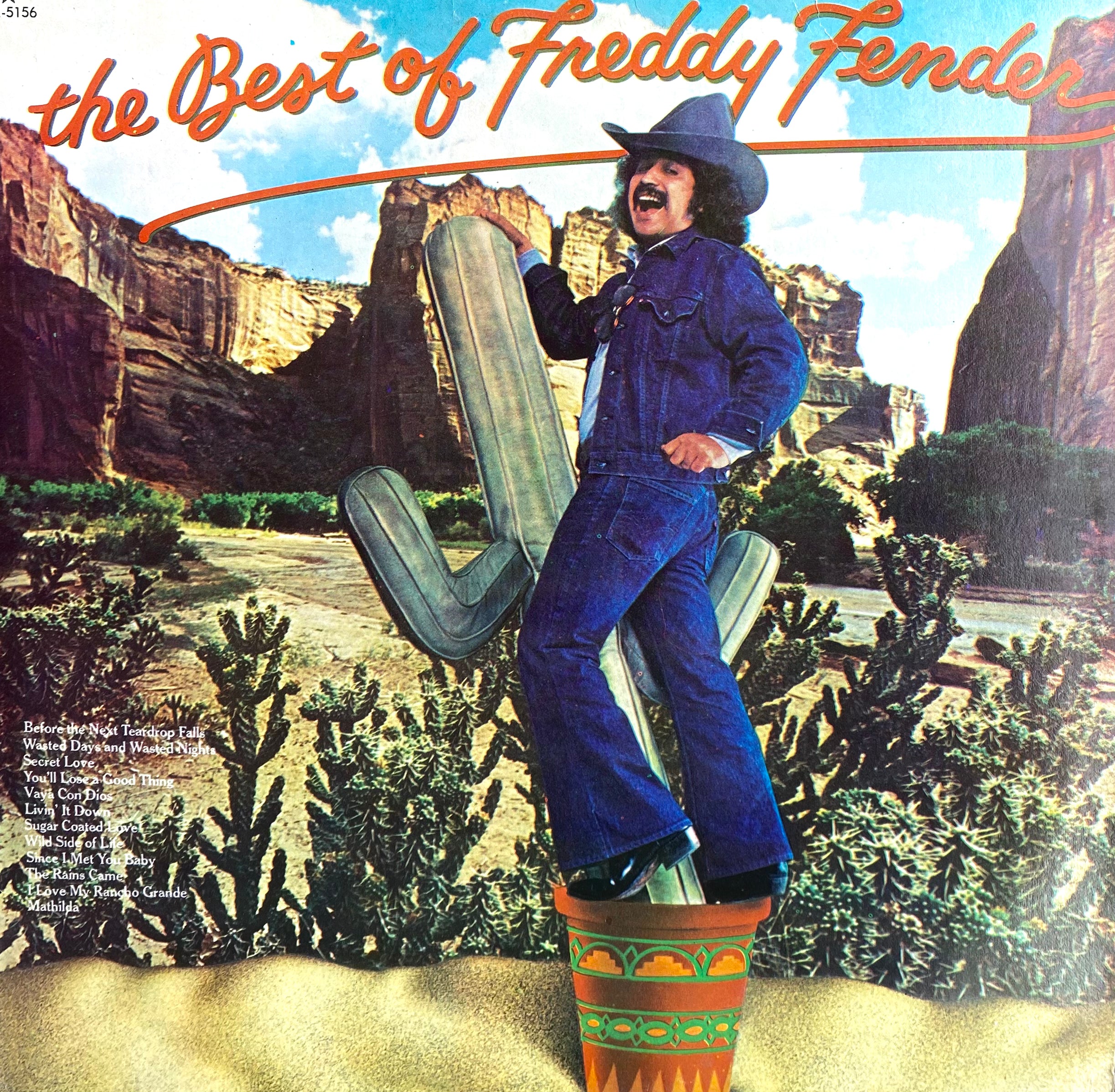 Freddy Fender The Best Of Freddy Fender PAST LIFE VINYL RECORDS freddy-fender-the-best-of-freddy-fender-past-life-vinyl-records