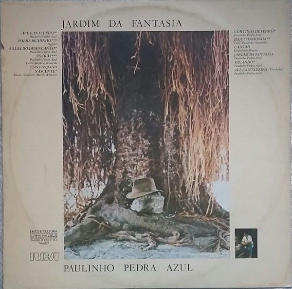 Paulinho Pedra Azul – Jardim Da Fantasia