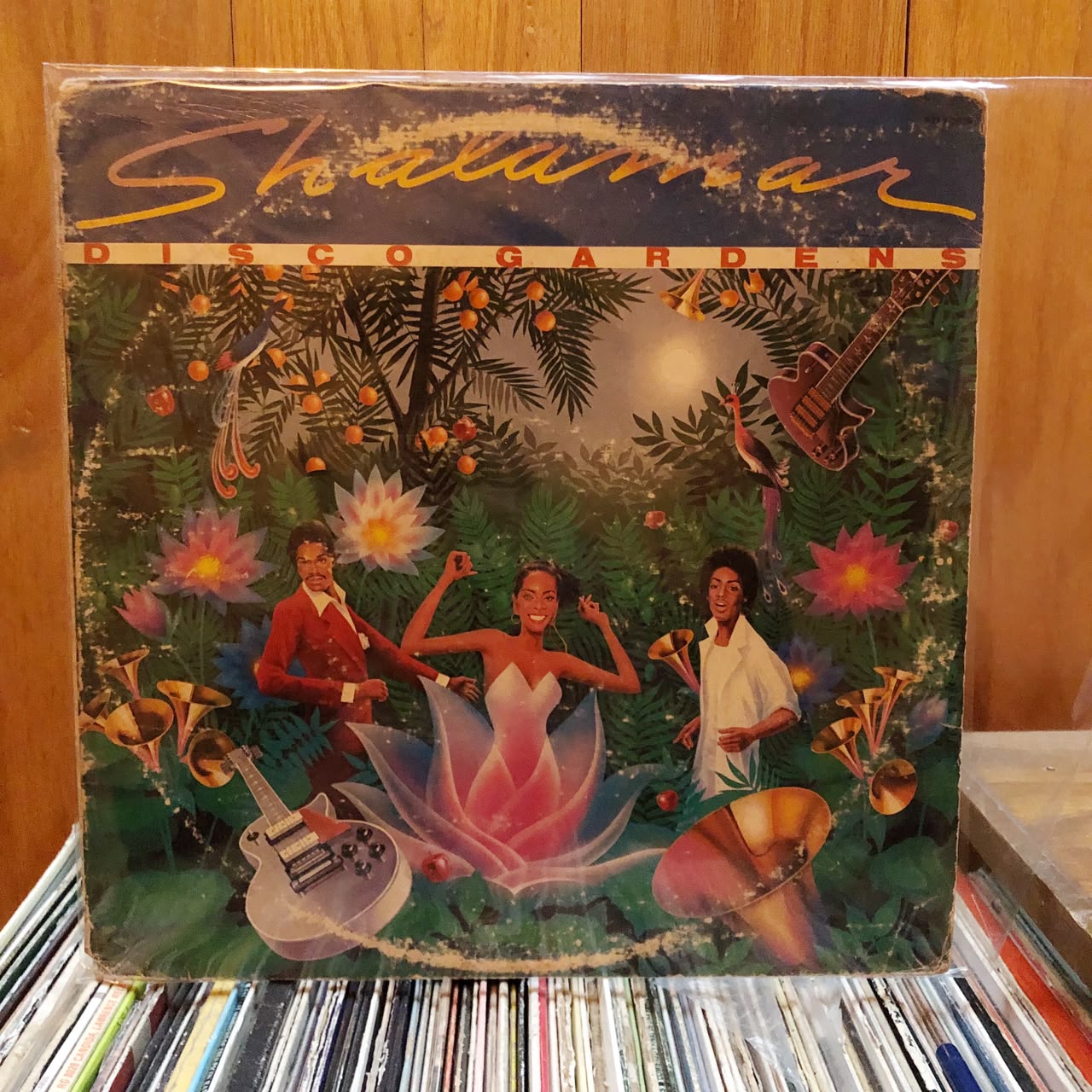 Shalamar - Disco Gardens