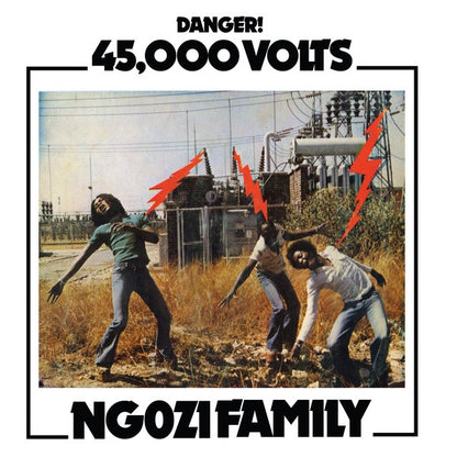 Ngozi Family ‎– 45,000 Volts