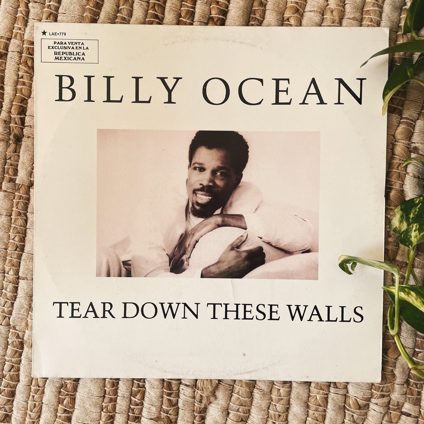 Billy Ocean ‎– Tear Down These Walls