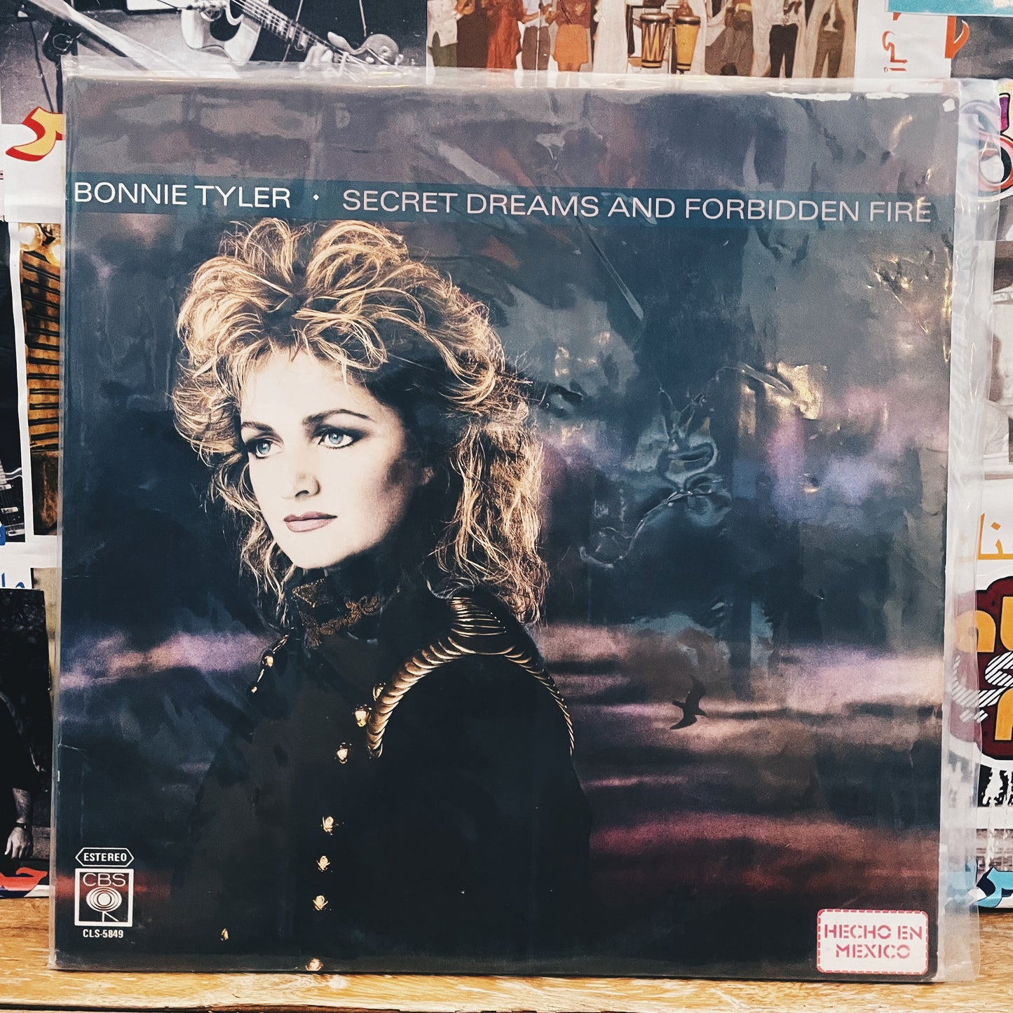 Bonnie Tyler ‎– Secret Dreams And Forbidden Fire