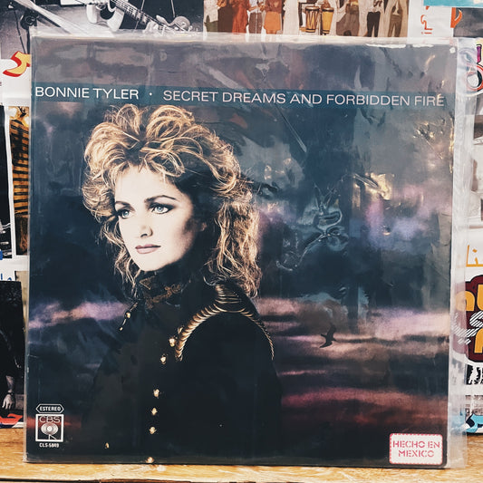 Bonnie Tyler ‎– Secret Dreams And Forbidden Fire