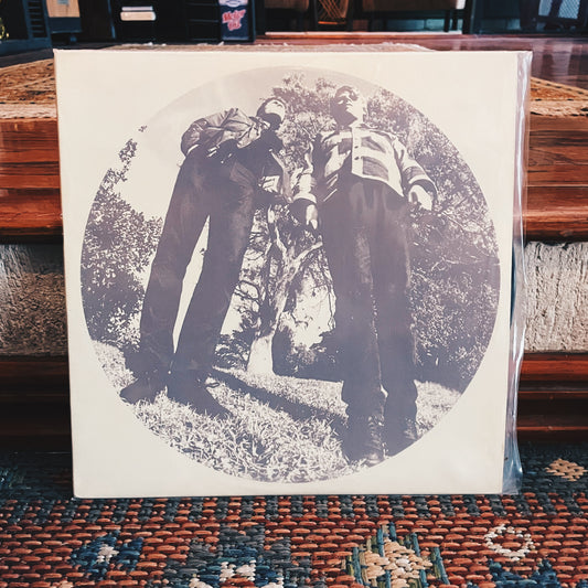 Ty Segall & White Fence ‎– Hair