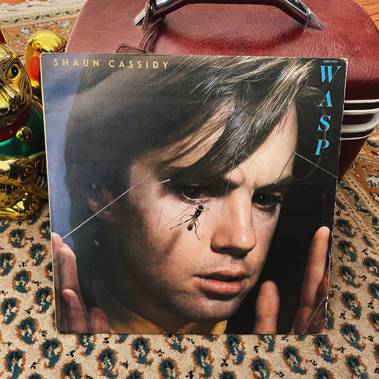Shaun Cassidy ‎– Abeja