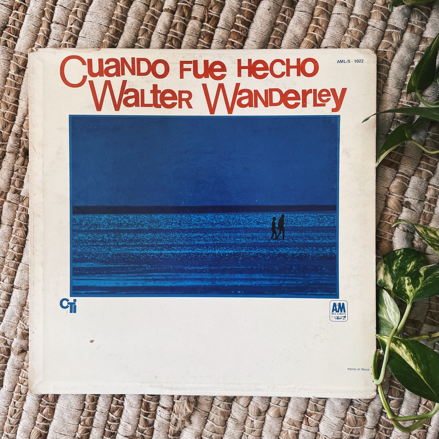 Walter Wanderley  ‎– Cuando Fue Hecho