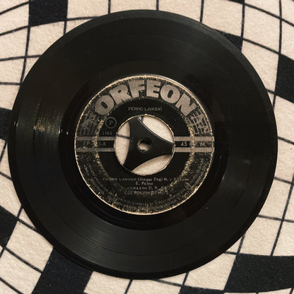 7¨| Los Rockin Devil's ‎– Perro Lanudo