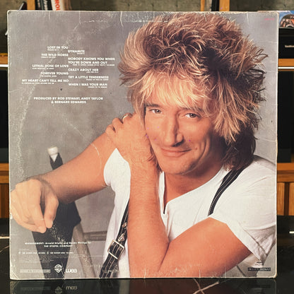 Rod Stewart – Out Of Order