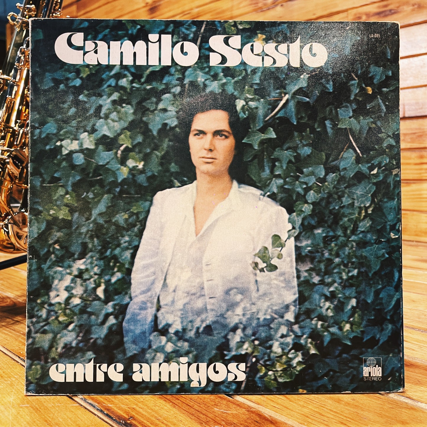 Camilo Sesto – Entre Amigos