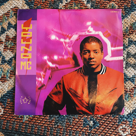 Young MC ‎– Brainstorm