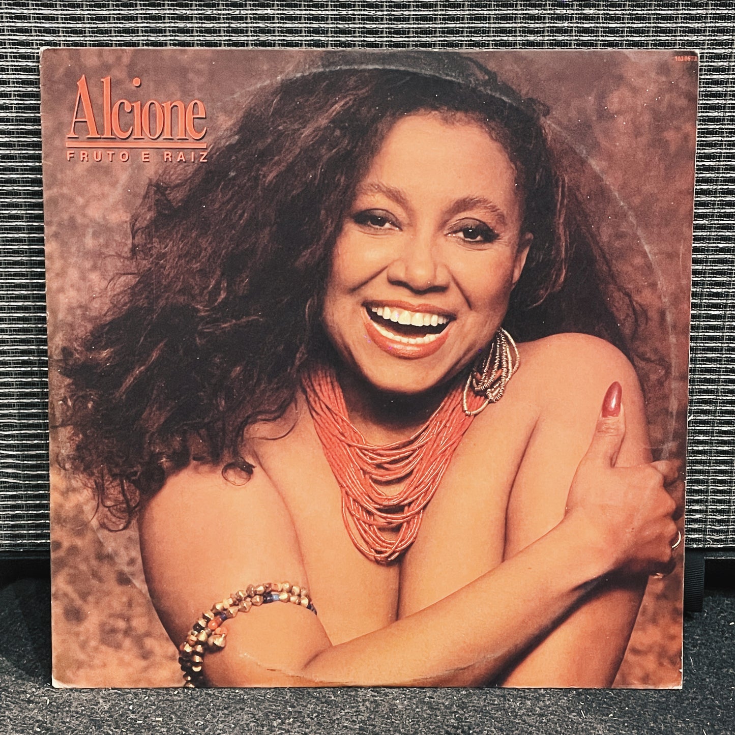 Alcione – Fruto E Raiz