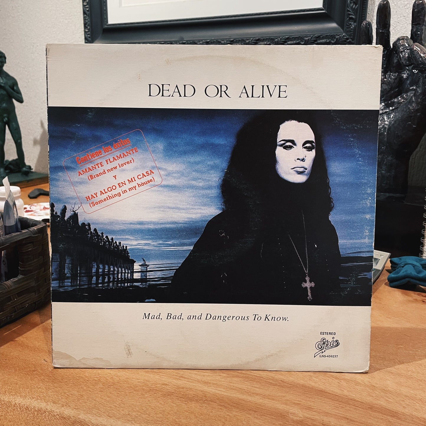 Dead Or Alive ‎– Mad, Bad, And Dangerous To Know