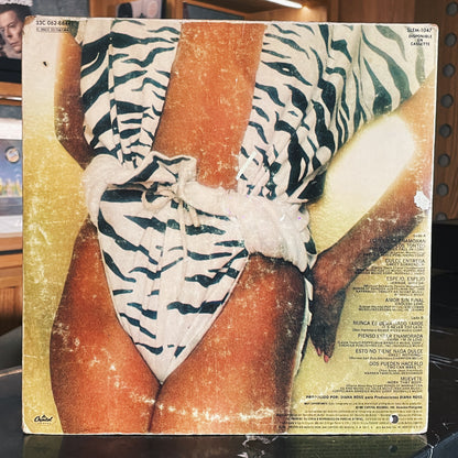 Diana Ross – Why Do Fools Fall In Love