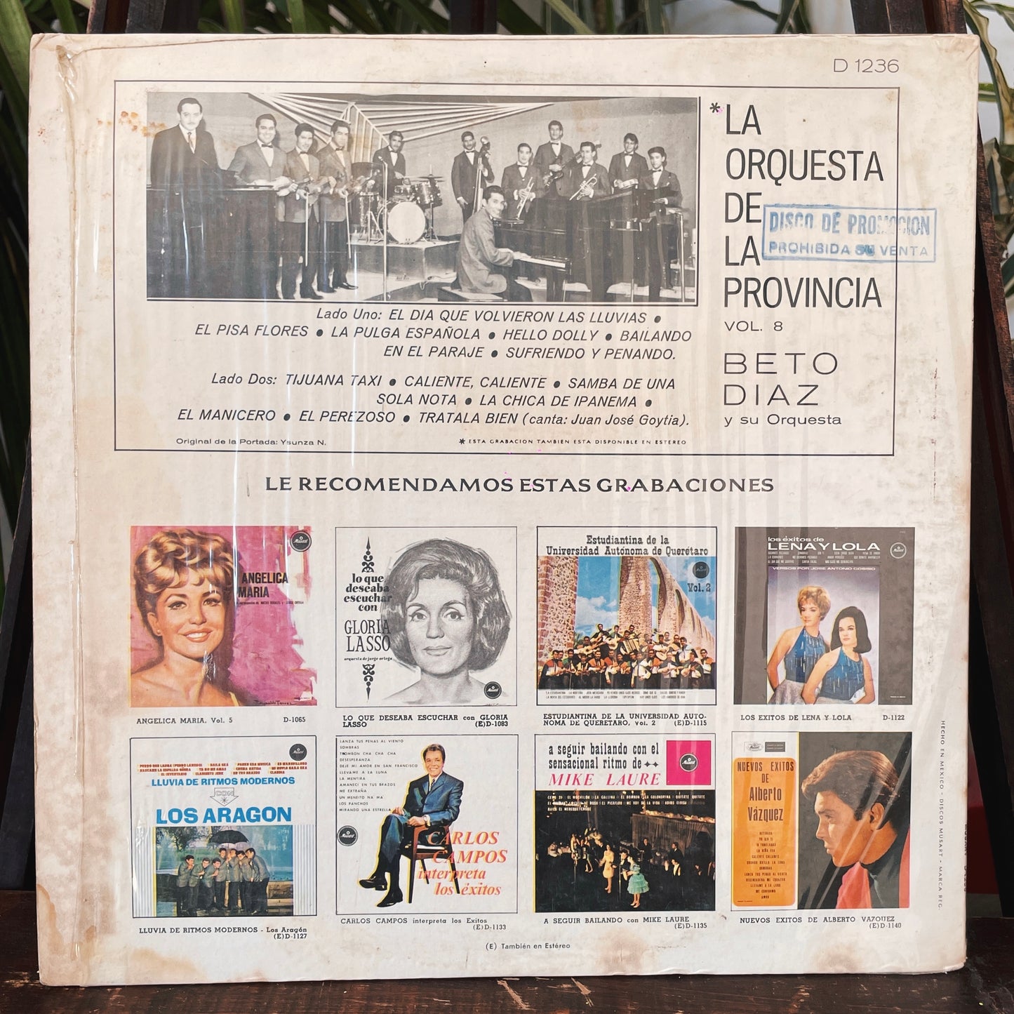 Beto Diaz ‎– La Orquestra De La Provincia Vol. 8