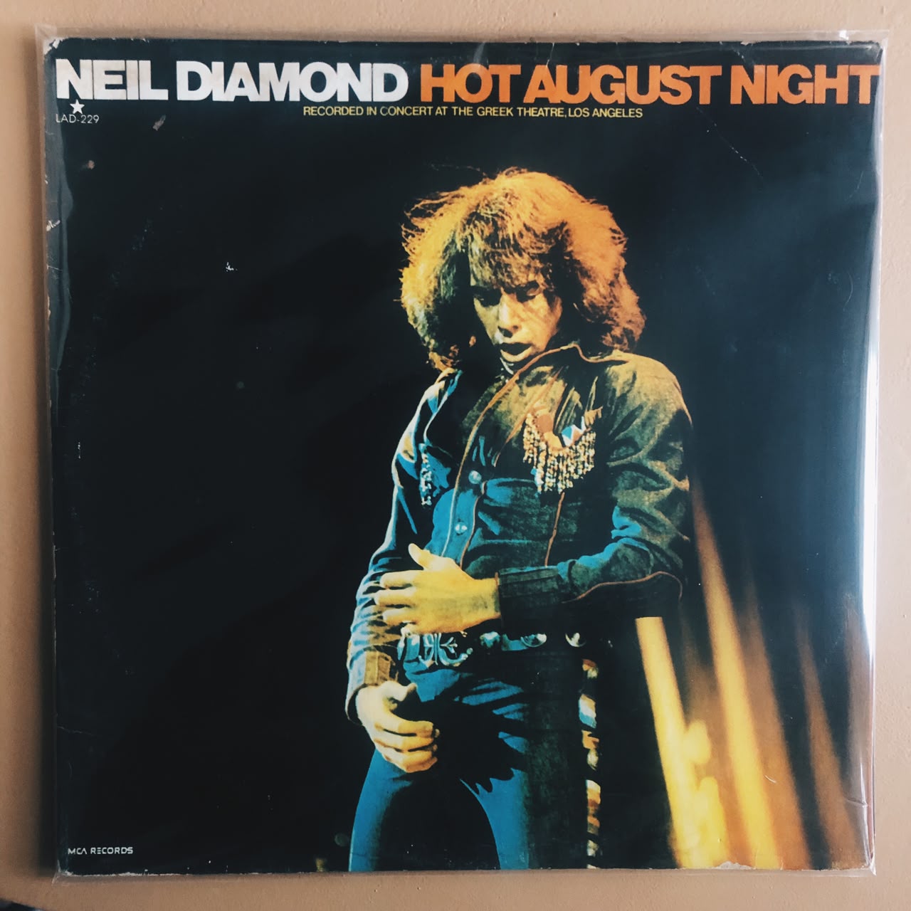 Neil Diamond – Hot August Night